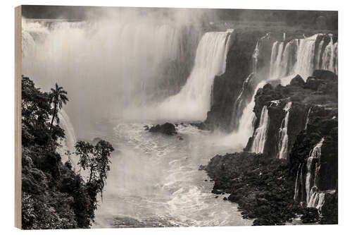 Print på træ Iguazu waterfall in Argentina