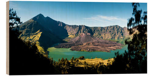 Trätavla Rinjani Volcano Landscape on Lombok Island in Indonesia