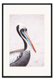 Gerahmter Kunstdruck Buntes Pelikanporträt