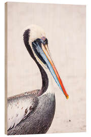 Hout print Colourful Pelican Portrait