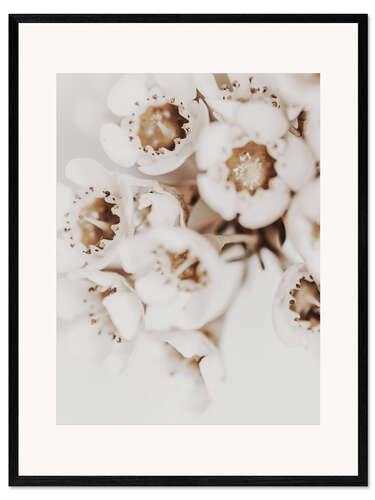 Kehystetty taidepainatus White flower I.