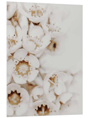 Tableau en PVC Fleurs blanches II