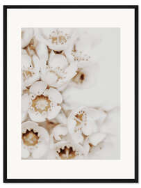 Gerahmter Kunstdruck Weiße Blüte II