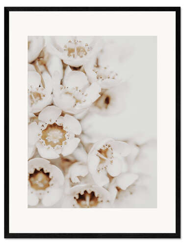 Framed art print White flower II