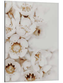 Magnettafel Weiße Blüte II