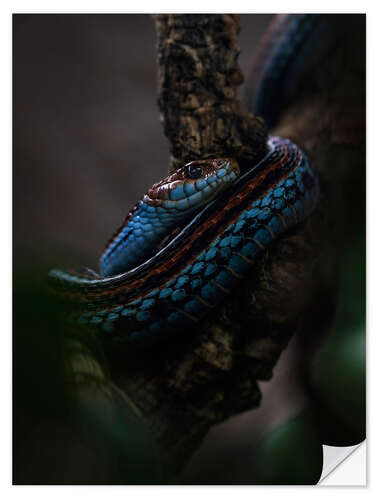 Muursticker Blue Hunter