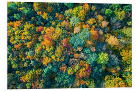 Foam board print Autumn from above