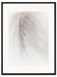Gerahmter Kunstdruck Weiße Feder I.