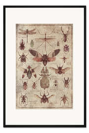 Gerahmter Kunstdruck Insekten I - Mike Koubou