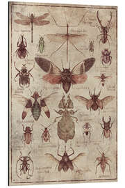 Magnettafel Insekten I