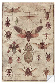 Wall sticker Insects I