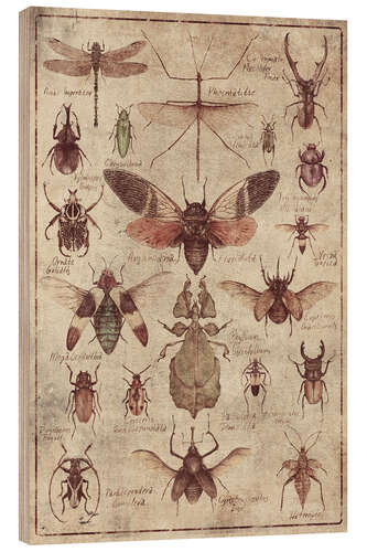 Hout print Insects I