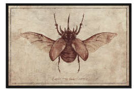 Gerahmter Kunstdruck Eupatorus Gracilicornis