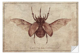 Sticker mural Eupatorus Gracilicornis