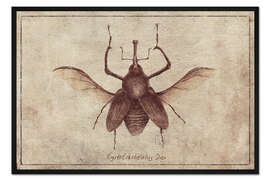 Gerahmter Kunstdruck Cyrtotracheulus Dux