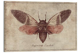 Magnettafel Argamiana Floridula