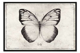 Gerahmter Kunstdruck Ixias