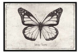 Gerahmter Kunstdruck Danaus Plexippus