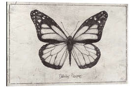 Magnettafel Danaus Plexippus