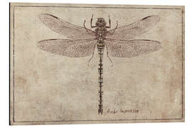 Magnettafel Anax-Imperator