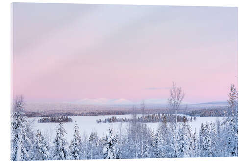 Akrylglastavla Pink Sunset Over Snow Covered Forest Landscape