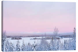 Leinwandbild Rosa Sonnenuntergang über schneebedeckter Waldlandschaft