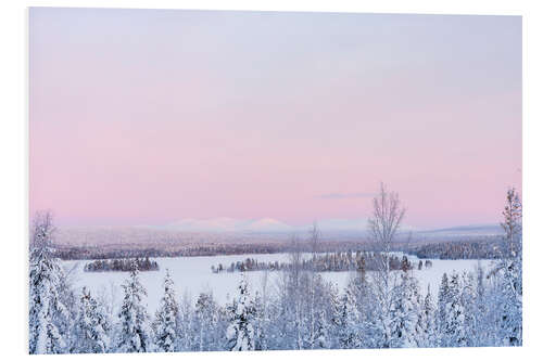 Tableau en PVC Coucher de soleil rose sur un paysage forestier couvert de neige