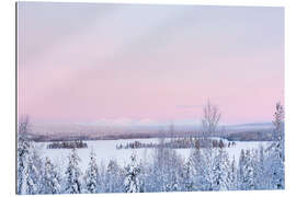 Galleritryk Pink Sunset Over Snow Covered Forest Landscape