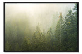Gerahmter Kunstdruck Nebelhafter grüner Wald