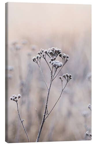 Canvas print Winter Romance 2