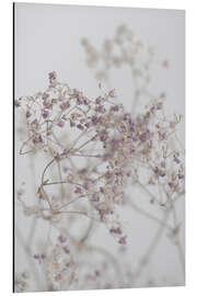 Aluminiumtavla Delicate purple dried flowers and twigs