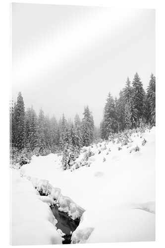 Akryylilasitaulu Black water in the white winter forest