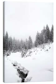 Canvas print Black water in the white winter forest