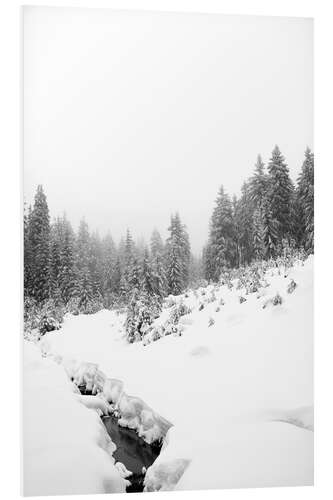 Foam board print Black water in the white winter forest