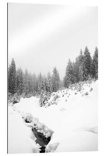 Gallery Print Schwarzes Wasser im weißen Winterwald