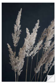 Wall sticker Pampas grass on black background