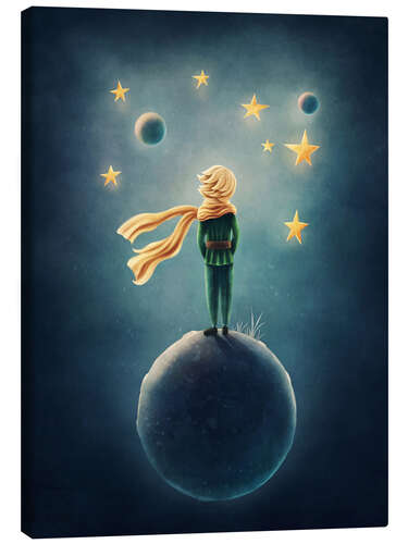 Quadro em tela The Little Prince