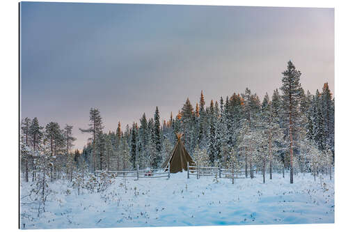 Gallery Print Camping in einer abgelegenen Waldlandschaft