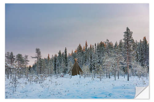 Wall sticker Camping in a Remote Forest Landscape