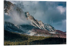 Gallery print Mountain and Forest Landscape