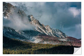 Wall sticker Mountain and Forest Landscape