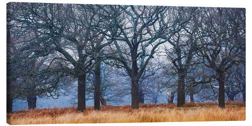 Canvas-taulu Enchanted Woodland on a Misty Morning