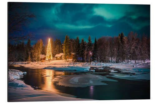 Aluminiumsbilde Northern Lights Over a Christmas Tree