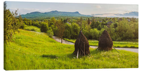 Canvas print Rural Romania Landscape