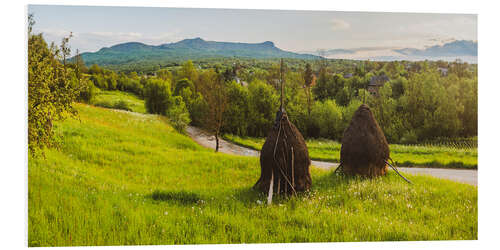 PVC-tavla Rural Romania Landscape