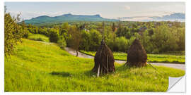 Muursticker Rural Romania Landscape