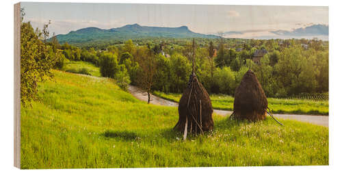 Wood print Rural Romania Landscape