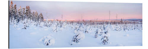 Aluminiumsbilde Pink Sunset in Remote Winter Wonderland Landscape