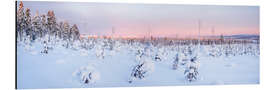 Aluminium print Pink Sunset in Remote Winter Wonderland Landscape