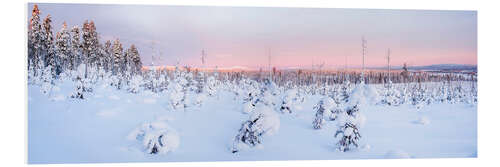 Foam board print Pink Sunset in Remote Winter Wonderland Landscape